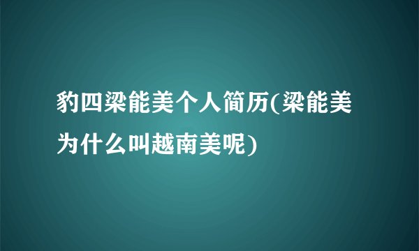 豹四梁能美个人简历(梁能美为什么叫越南美呢)