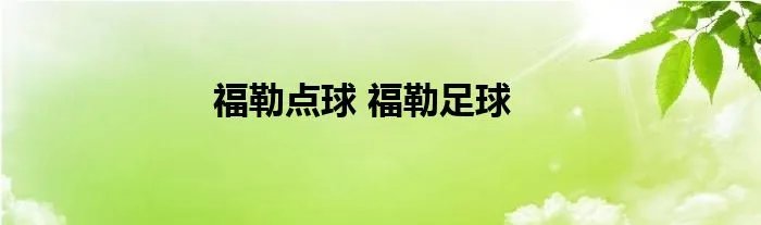 福勒点球 福勒足球