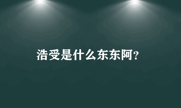 浩受是什么东东阿？