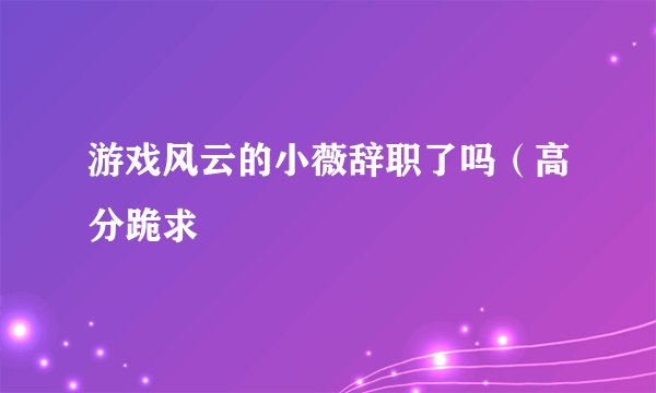 游戏风云的小薇辞职了吗（高分跪求