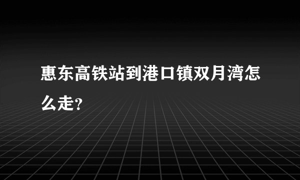 惠东高铁站到港口镇双月湾怎么走？