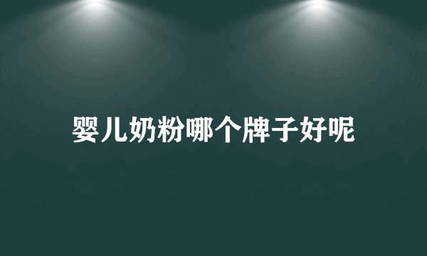 婴儿奶粉哪个牌子好呢