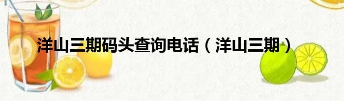 洋山三期码头查询电话（洋山三期）