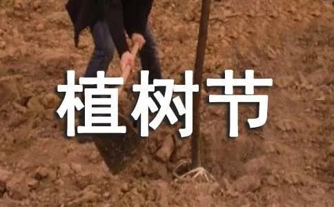植树节的名言名句