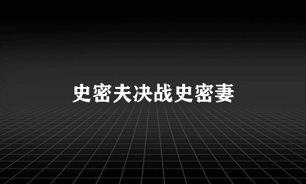 史密夫决战史密妻
