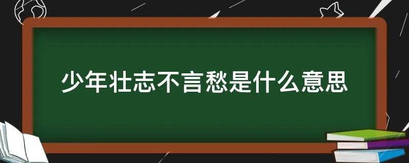 少年壮志不言愁是什么意思