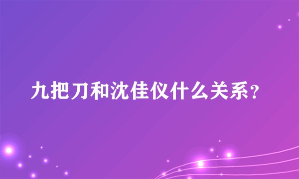 九把刀和沈佳仪什么关系?