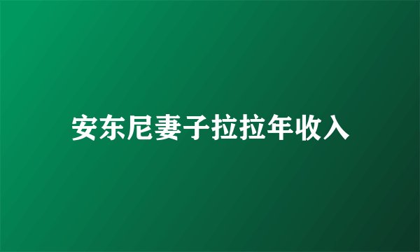 安东尼妻子拉拉年收入