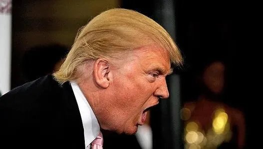 特朗普为什么建议推迟美国总统选举?