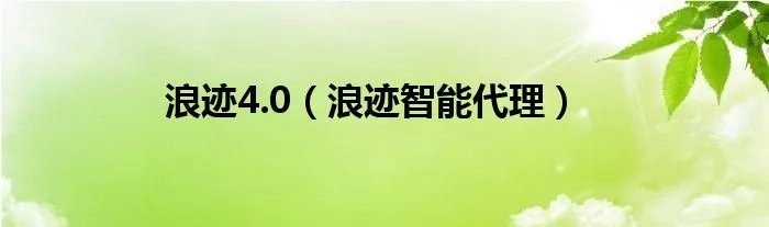 浪迹4.0（浪迹智能代理）