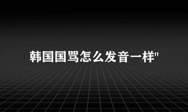韩国国骂怎么发音一样