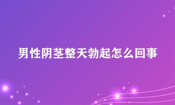 男性阴茎整天勃起怎么回事