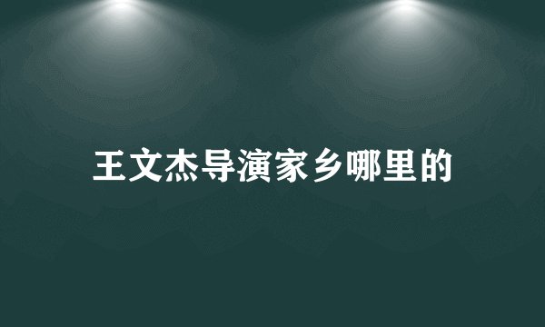 王文杰导演家乡哪里的