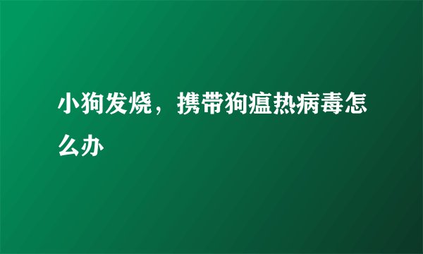 小狗发烧，携带狗瘟热病毒怎么办
