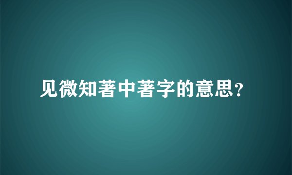 见微知著中著字的意思？