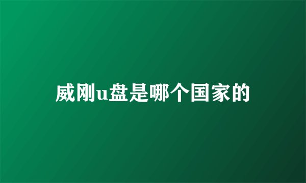 威刚u盘是哪个国家的