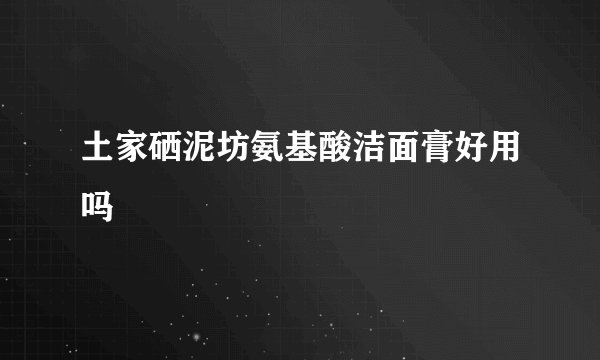 土家硒泥坊氨基酸洁面膏好用吗