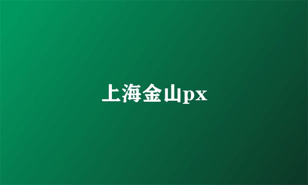 上海金山px