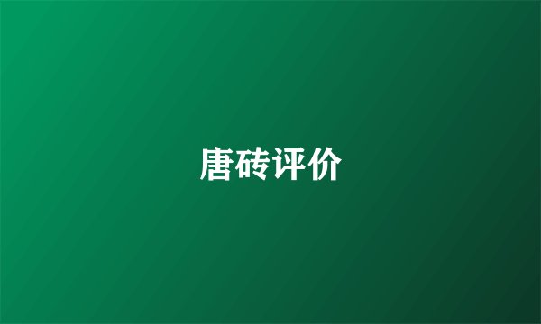 唐砖评价