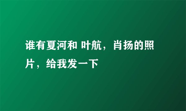 谁有夏河和 叶航，肖扬的照片，给我发一下
