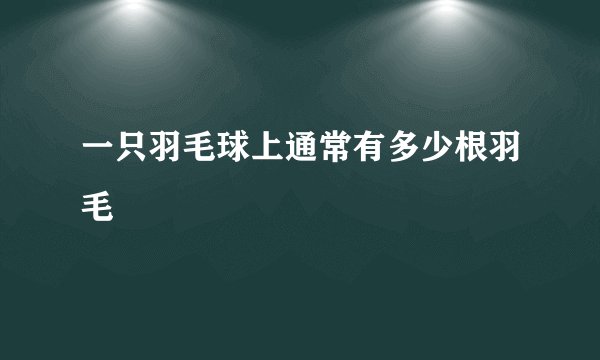 一只羽毛球上通常有多少根羽毛