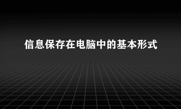 信息保存在电脑中的基本形式