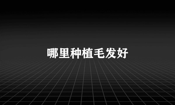 哪里种植毛发好