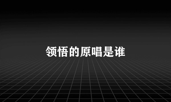 领悟的原唱是谁