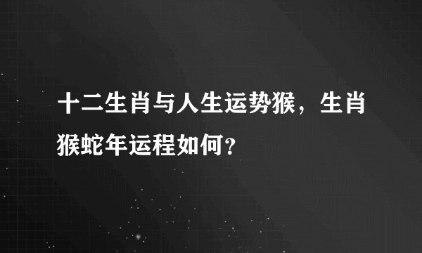 十二生肖与人生运势猴,生肖猴蛇年运程如何?