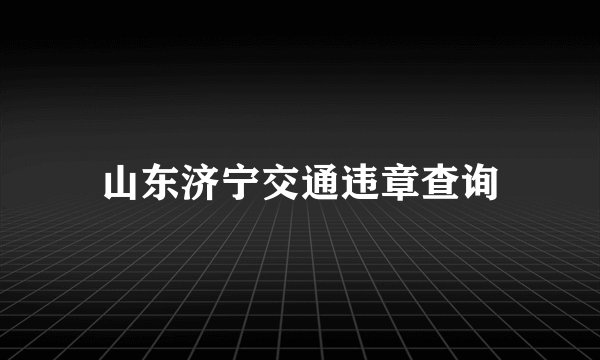 山东济宁交通违章查询