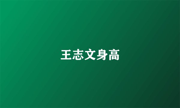 王志文身高