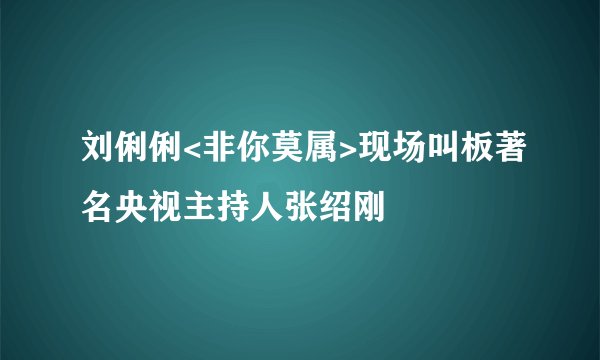 刘俐俐<非你莫属>现场叫板著名央视主持人张绍刚