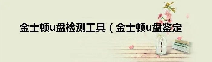 金士顿u盘检测工具(金士顿u盘鉴定