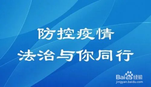 防控疫情,与法同行的征文怎么写?
