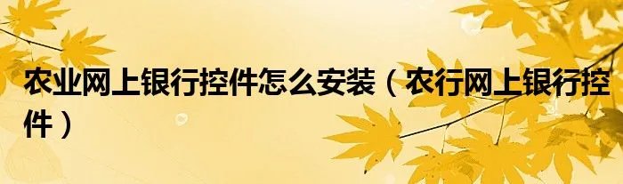 农业网上银行控件怎么安装（农行网上银行控件）