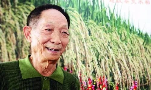 袁隆平宣布了一个什么重大成果?