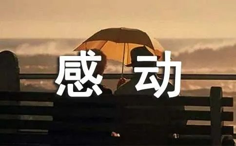 感动的作文500字