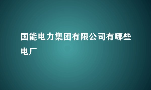 国能电力集团有限公司有哪些电厂