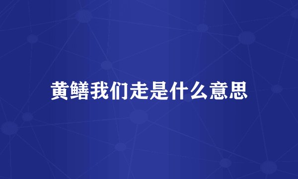 黄鳝我们走是什么意思