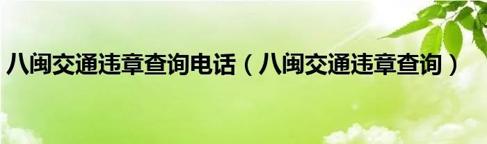 八闽交通违章查询电话（八闽交通违章查询）