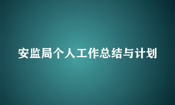 安监局个人工作总结与计划