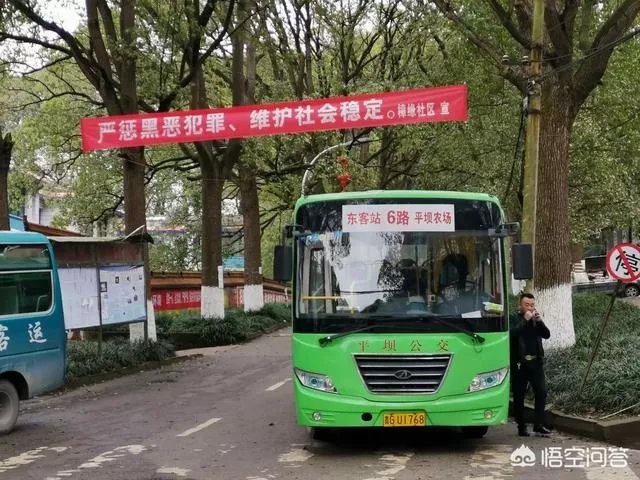 贵州平坝万亩樱花绽放,美爆了这个春天,有去过的吗?有旅游攻略路线吗?