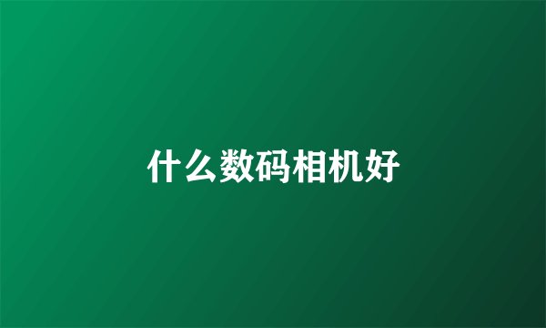 什么数码相机好