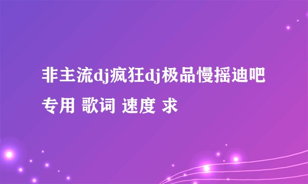 非主流dj疯狂dj极品慢摇迪吧专用 歌词 速度 求