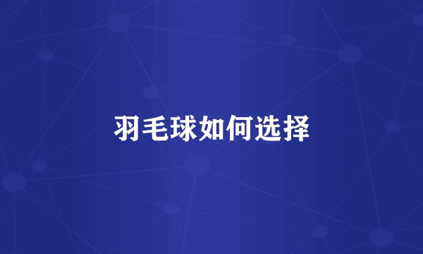 羽毛球如何选择