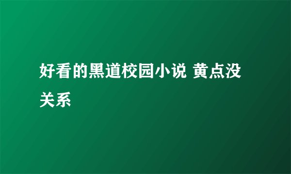 好看的黑道校园小说 黄点没关系