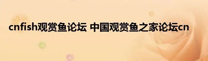 cnfish观赏鱼论坛 中国观赏鱼之家论坛cn