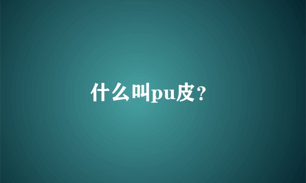 什么叫pu皮？
