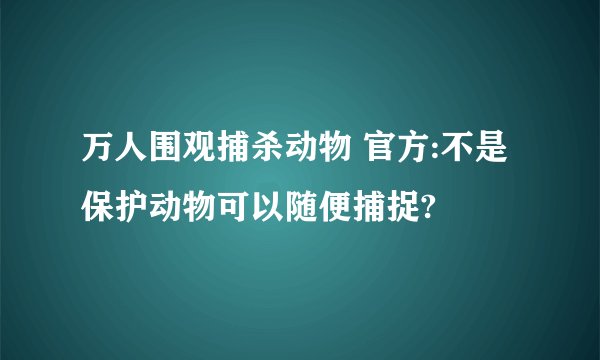 万人围观捕杀动物 官方:不是保护动物可以随便捕捉?