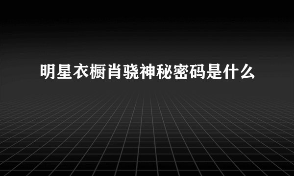 明星衣橱肖骁神秘密码是什么